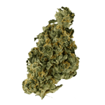 Remexian 33/1 1 HMA LOG minis Cannabisbl&uuml;ten